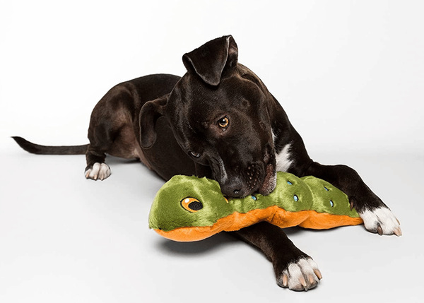 The Best Caterpillar Dog Toys & Why You Should Get One